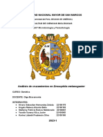 Informe Genética Grupo 2 Sábado