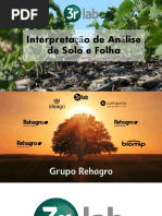 1530720521interpretao de Anlise de Solo e Folha