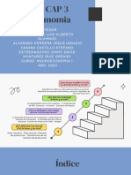 Macroeconomia Cap 3