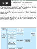 CLASE 3. Fijacion de Nitrogeno, Disponibilidad y Extracción de Nutrientes de Los Pastos y Forrajes. Programa de Fertilización Estratégica