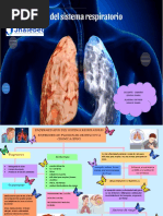 Mapa Enfermedades Del Sistema Nervioso