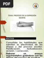 Proceso de Expresión Escrita