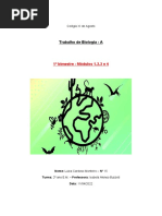 Trabalho de Biologia A - 1º Bimestre (Módulo 1,2,3 e 4)