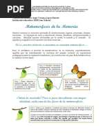 Taller Metamorfosis de La Memoria VIviana López