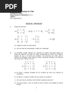 Guía de Matrices