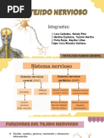 Tejido Nervioso