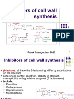 Cell Wall Inhibitors - Pharmacology 3 - Frank Ssengooba