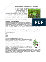 Tema 4 Ciencias Naturales