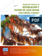 Manual Luga 6