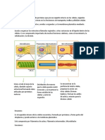 Guia Corta de Biologia Celular