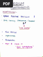 Clostridium Perfringens MT29