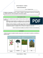 Guia de Trabajo N°2-Unidad 3-Ciencias Naturales-3° Básico B-Plantas de Nuestro País