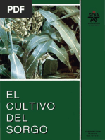 El Cultivo Sorgo