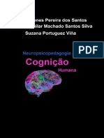 Neuropsicopedagogia Da Cognição Humana