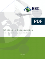 Chamada Publica Baixo Carbono Petroleo Petroquimica