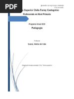 Planificación 2020-Primaria