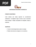 Trabajo de Investigacion Homero (Keila Belliard) 1a