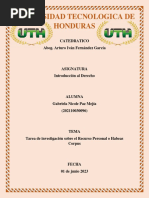 Tarea de Investigación Sobre El Recurso Personal o Habeas Corpus T5