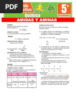 Ficha Amidas y Aminas