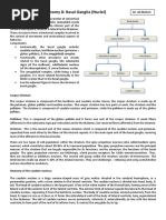 Basal Ganglia