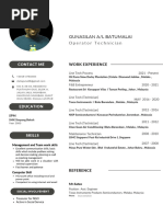 Professional CV Resume