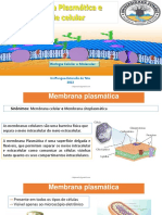 Aula Membrama P e Parede C