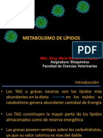 Clase 10 Metabolismo de Lípidos 2023