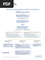 HBV Infection-Monitoring Before and After Liver Transplantation