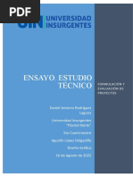 Ensayo Estudio de Proyecto