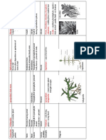 Pteridophyta Table