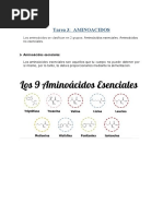 Tarea de Aminoacidos