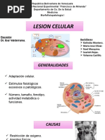 II Lesion Celular