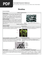 Grupo Nº3 Resumen Dentina