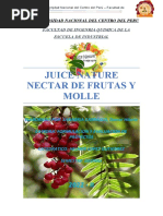 Formulacion de Proyectos - Nectar de Frutos de Molle