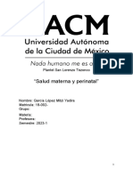 Salud Materna y Perinatal