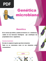 Genetica Microbiana