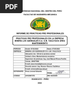 Informe de Prácticas Preprofesionales