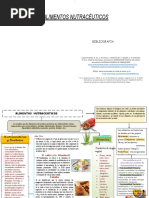 Mapa Alimentos