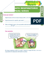 El Aparato Respiratorio para Niños para Segundo Grado de Primaria