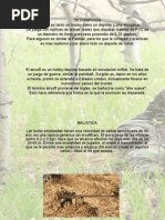 Triptico Airsoft