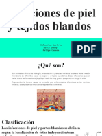 Infecciones de Piel y Tejidos Blandos