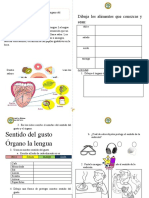 Ciencias Sentidos