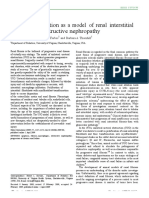 Obstr - Nephropathy 1