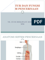 Struktur Dan Fungsi Sist Pencernaan