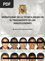 Versatilidad Tecnica Meaw Pagina Web