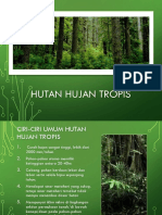 Hutan Hujan Tropis