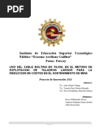 PROYECTO DE INNOVACIÓN TECNOLOGICA Diestra