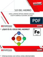 Exposicion Ciclo Del Hierro