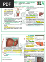 R3-AyP28ANATOMIA QUIRURGICA DE HIGADO Y VIAS BILIARES 