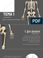 E. F. Trabajo 789